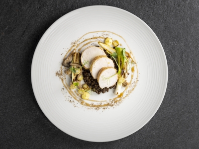 Succulent sliced chicken atop a bed of lentils, garnished with herbs and drizzled with a rich sauce, beautifully presented.