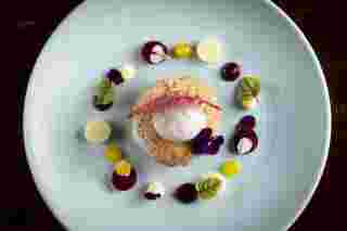 A beautifully plated dessert featuring a sponge cake, ice cream, and vibrant fruit coulis and garnishes.
